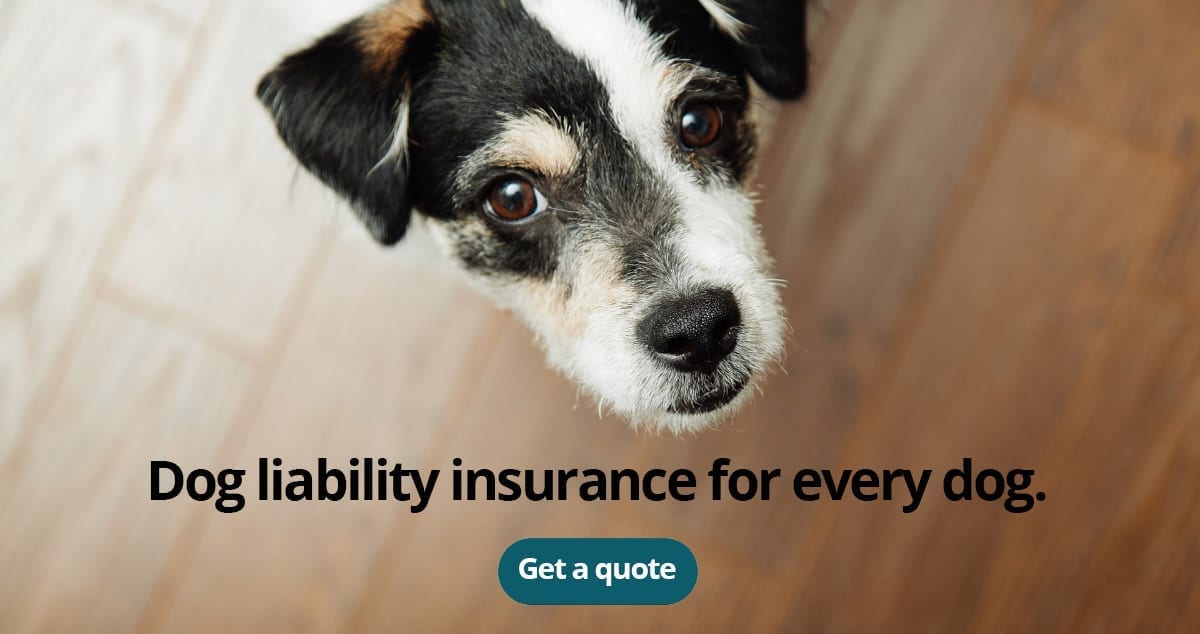 Dog Liability Insurance Dog Bite Insurance For Dog Owners   Dog Liability Insurance 